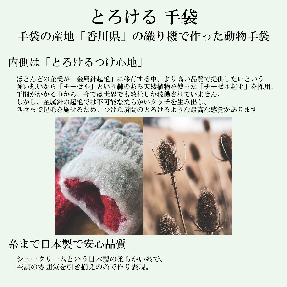 SUNNY NOMADO サニーノマド 手袋 スマホ対応 CLASSIC OUTDOOR GLOVE