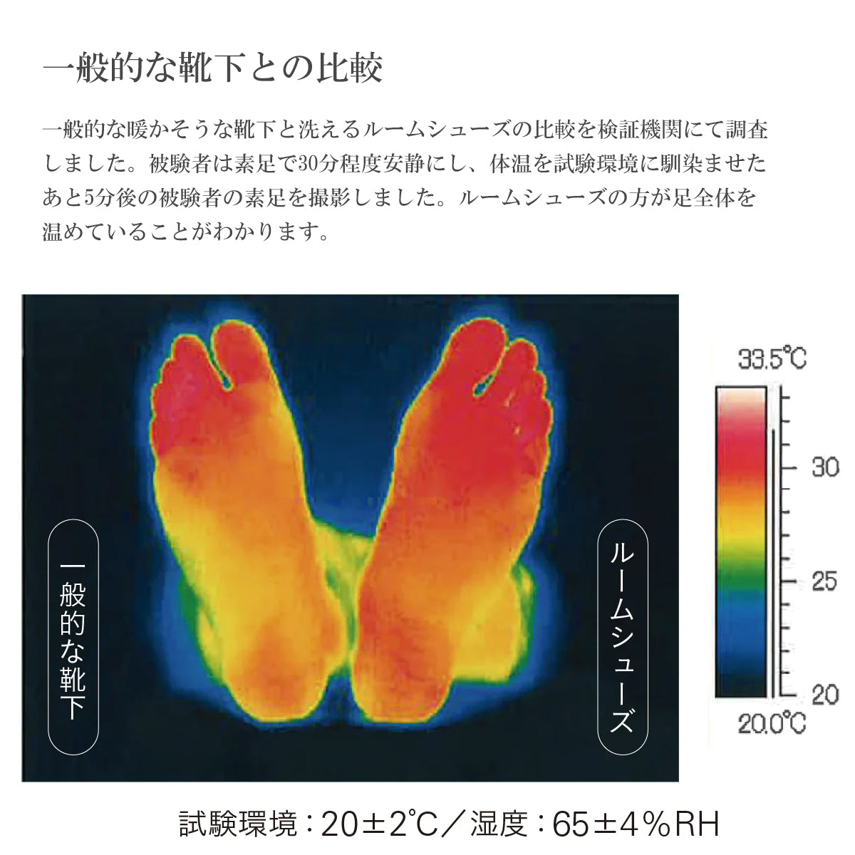 SUNNY NOMADO サニーノマド 靴下 洗えるルームシューズ ALAN SNF-017