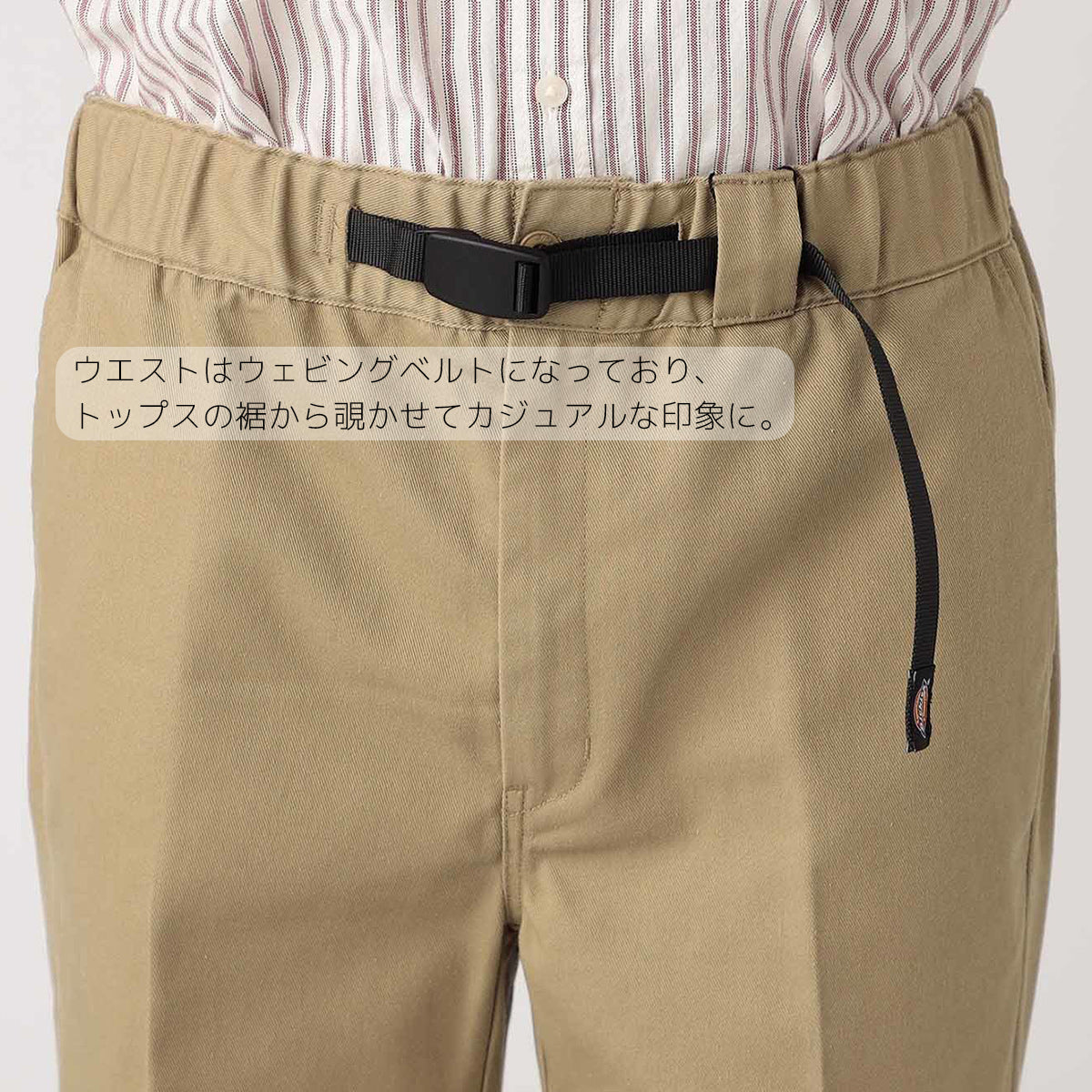 Dickies ディッキーズ クライミングパンツ トレッキングパンツ CLIMBING WORK PANTS DB0010 イージー ワークパンツ チノパン