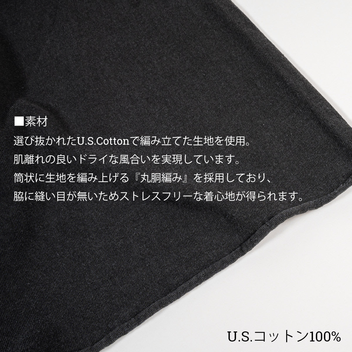 Healthknit ヘルスニット ヘンリーネック 半袖Tシャツ ピグメントダイ Henley Neck S/S Tee 10060