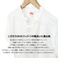 Healthknit ヘルスニット ヘンリーネック 半袖Tシャツ Henley Neck S/S Tee #906S